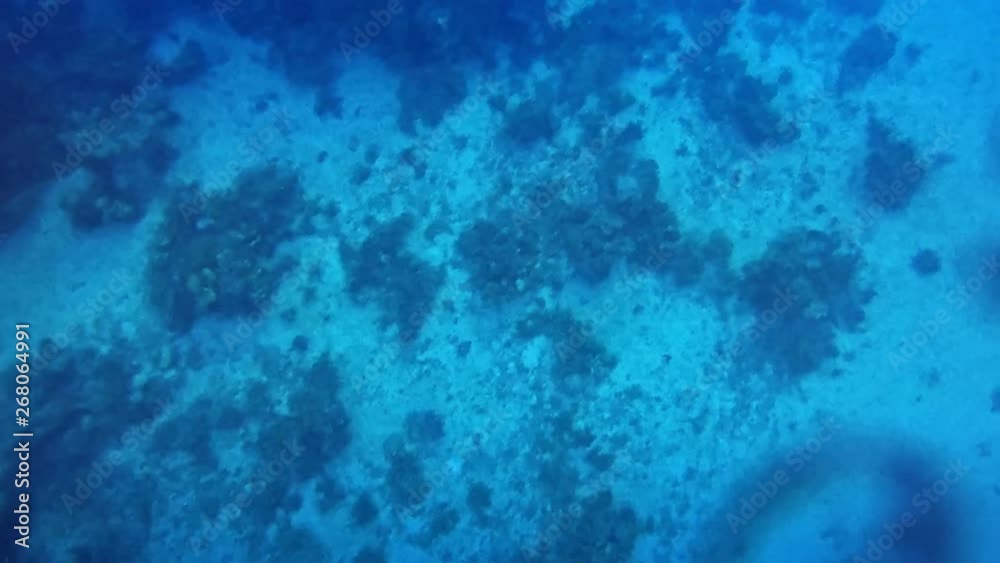 Putting camera underwater while sailing in a motorboat.