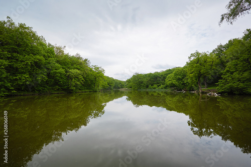 Forest Lake  in spring. Pond.