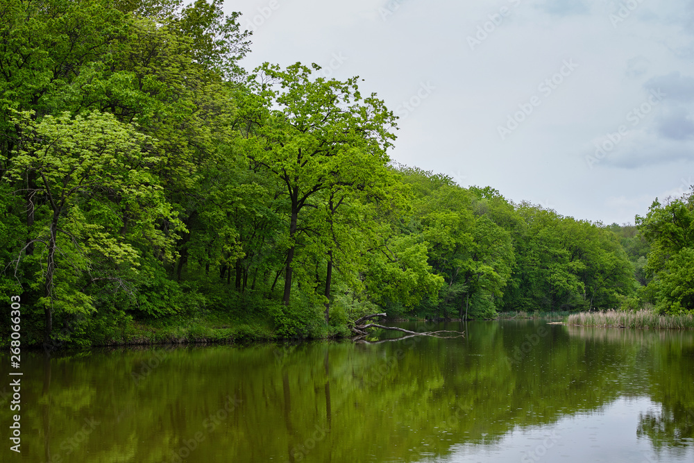 Forest Lake, in spring. Pond.