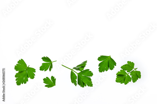 Italian parsley leaves on white background with copy space above
