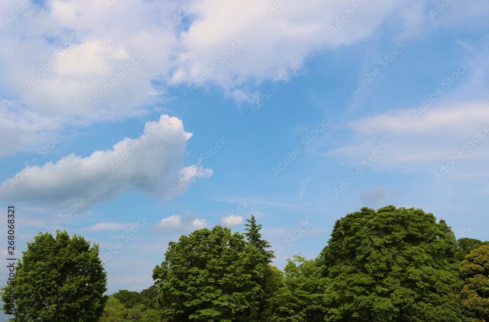 Obraz premium 風景 空 緑 茨城 公園