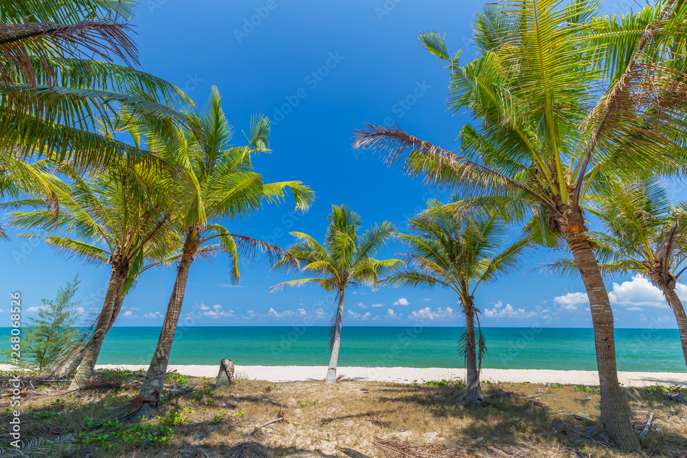 Coconut Palm trees on white sandy beach and  blue sky in south of Thailand