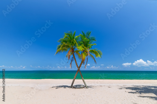 Fototapeta Naklejka Na Ścianę i Meble -  Coconut Palm trees on white sandy beach and  blue sky in south of Thailand