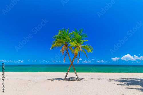 Coconut Palm trees on white sandy beach and blue sky in south of Thailand