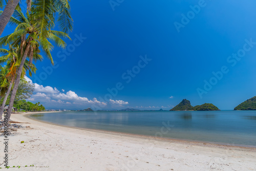 Coconut Palm trees on white sandy beach and  blue sky in south of Thailand © rbk365