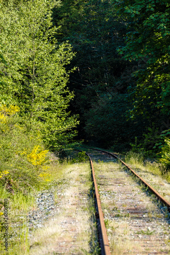 single railway trail lead deep into the forest on a sunny day