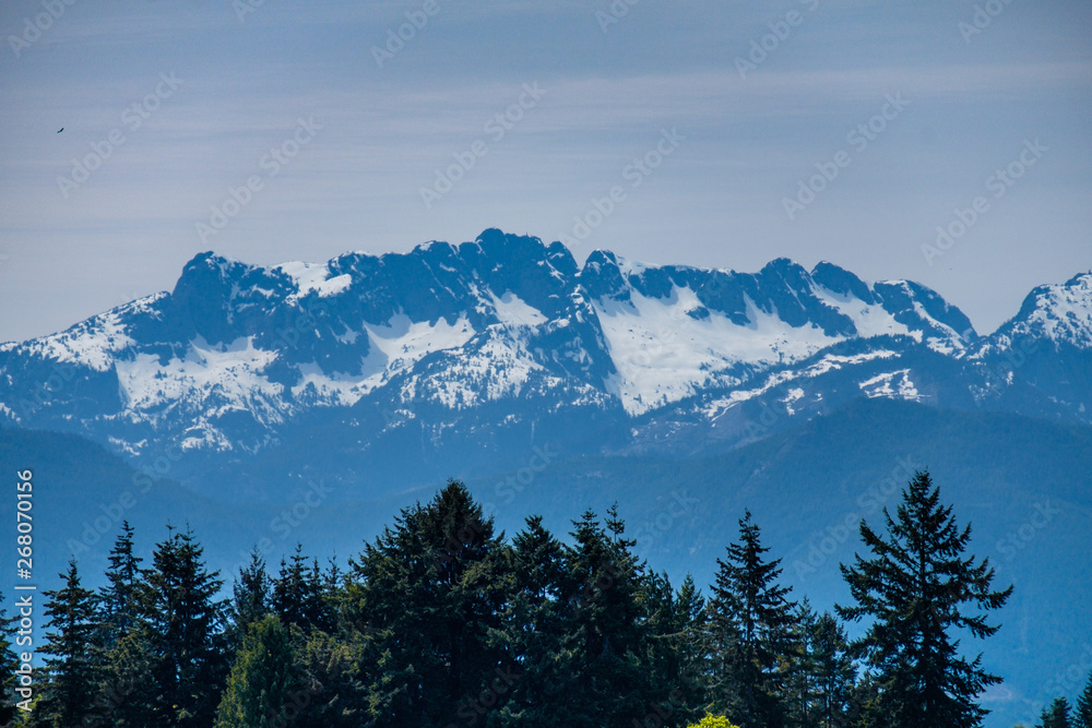 snow covered mountain range behind pine forest on an over cast day snow covered mountain range behind pine forest on an over cast day