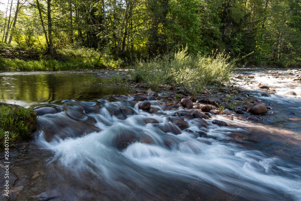 water running down rocky creek inside forest  in slow shutter speed