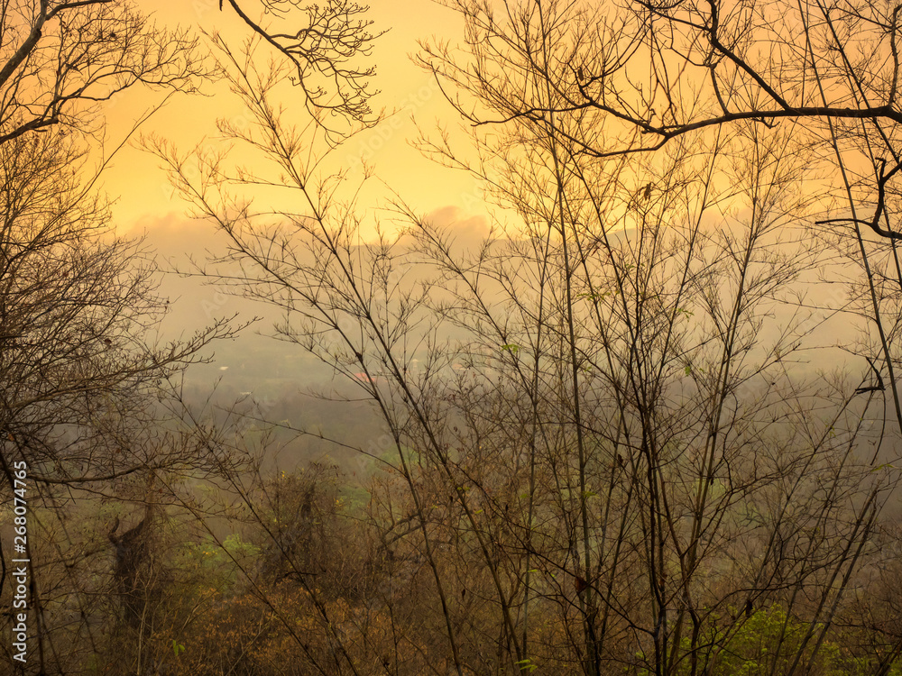 Morning Fog in front of warm light after sunrise 03 Morning Fog in front of warm light after sunrise 03