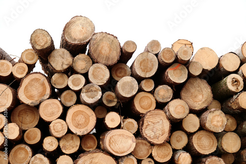 Stacked felled logs