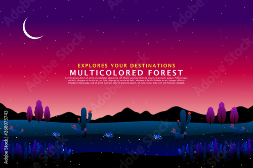 starry night with colored forest background