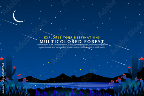 starry night with colored forest background