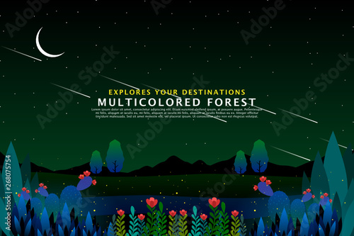 starry night with colored forest background