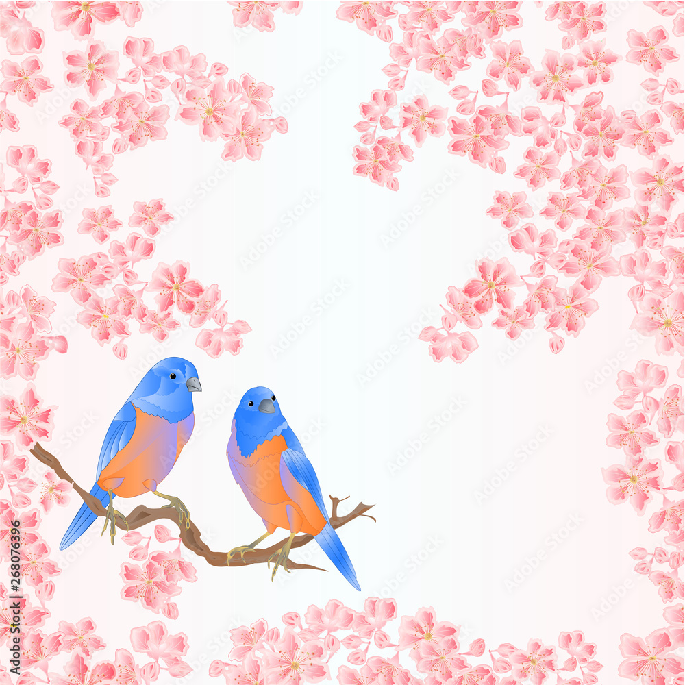Seamless texture bird bluebirds and sakura  spring background vintage vector illustration editable hand draw