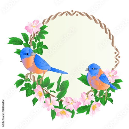 Floral round  frame with wild Roses  and cute small singings birds bluebirds vintage  festive  background vector illustration editable hand draw