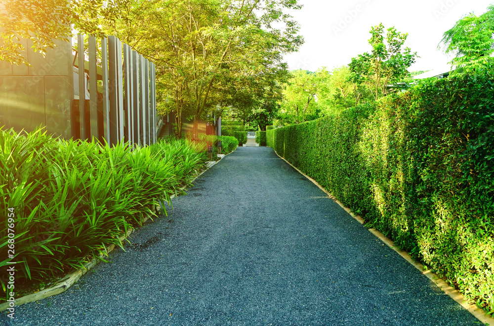 The road in the garden of the house entrance, The road beside the house, In the green lawn in front of the house for the backdrop. The road in the garden of the house entrance, The road beside the house, In the green lawn in front of the house for the backdrop.
