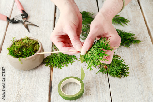 How to make beautiful Christmas decoration in fir shape using thuja twigs and moss