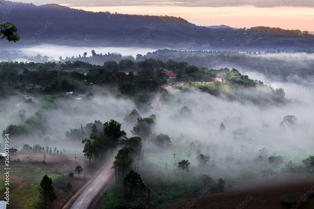 Way and trees cover with misty and mountain during sunrise that take a photo from Khao Takhian Ngo, Khao Kho, Phetchabun province,Thailand. This traveling with nature start to rainy season. Way and trees cover with misty and mountain during sunrise that take a photo from Khao Takhian Ngo, Khao Kho, Phetchabun province,Thailand. This traveling with nature start to rainy season.