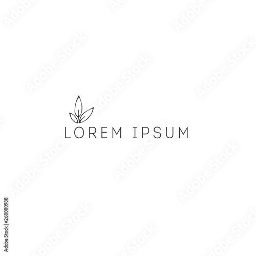Hand drawn isolated illustration. Vector garden logo template, a sprout with leaves.