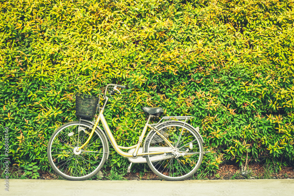 The vintage bicycle on colorful leaves wall background. Classic bike is friendly of environment.