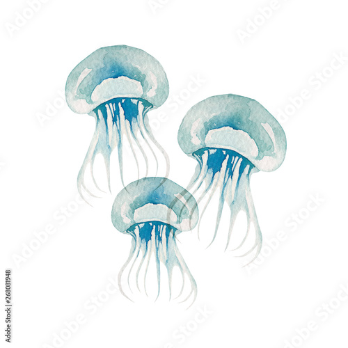 夏 海 クラゲ 水彩 イラスト Stock イラスト Adobe Stock