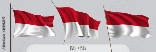 Set of Indonesia waving flag on isolated background vector illustration