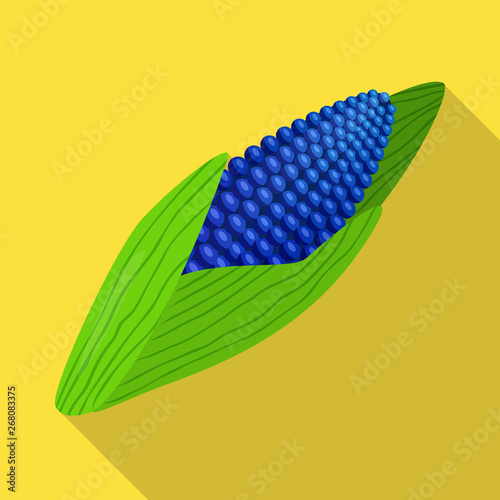 Vector illustration of corn and gmo icon. Set of corn and seed vector icon for stock.