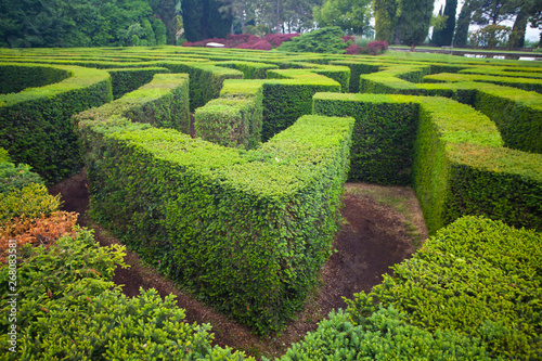 Maze in a park
