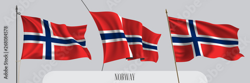 Set of Norway waving flag on isolated background vector illustration