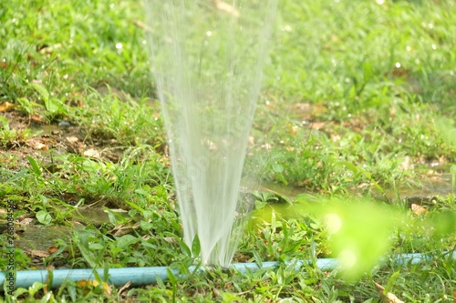 Splashing and spraying from a blue pvcpipe for watering a green grass field with day light 