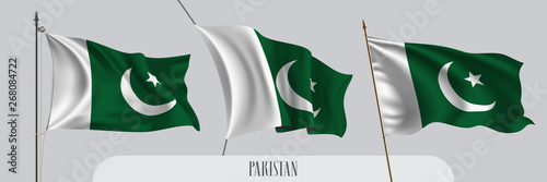 Set of Pakistan waving flag on isolated background vector illustration