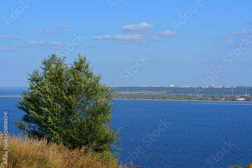 Picturesque landscape with tree and herbs on the background of river with town on coast.