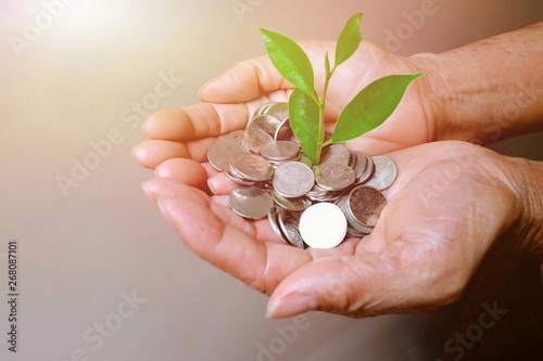 A hand hold little tree growing on money Money growing and saving with a hand holding coin