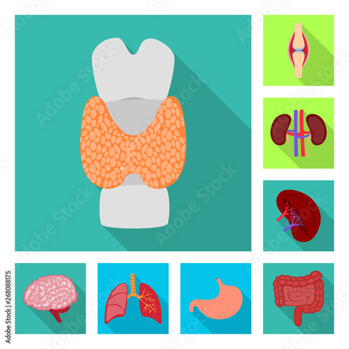 Vector illustration of human and health symbol. Collection of human and scientific stock symbol for web.