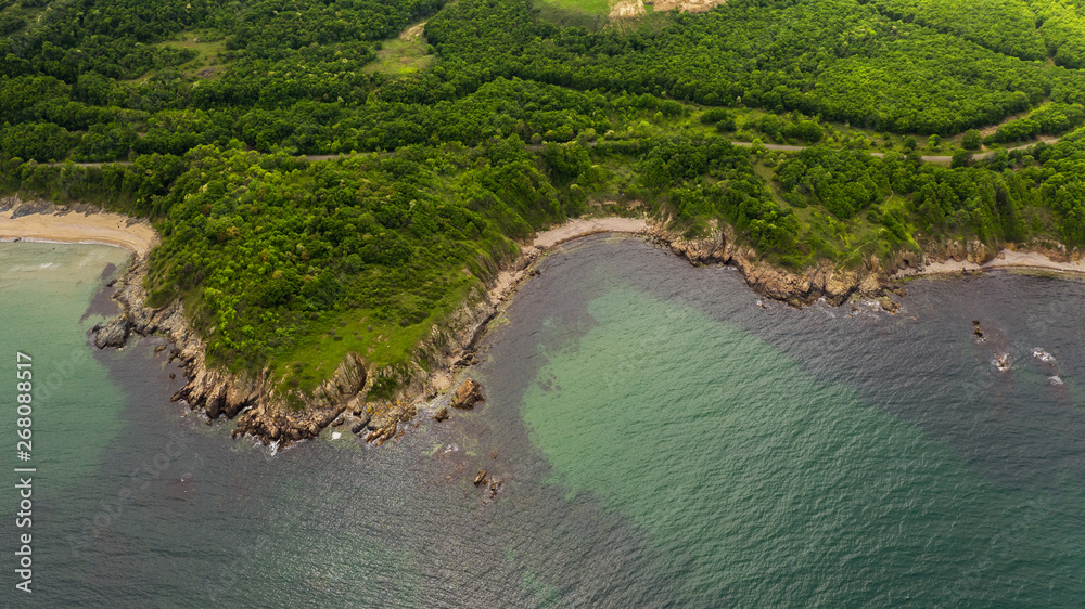 Aerial view of beautiful rocky beach and forest