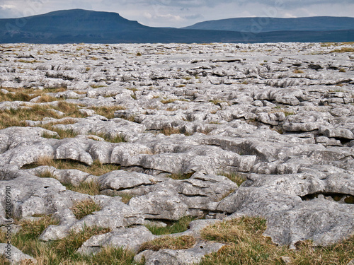 Limestone pavement - an area of limestone eroded by water - in the Yorkshire Dales, UK, with Pen-y-ghent in the background photo