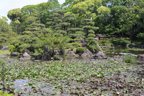 japon 