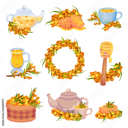 Collection of various images of sea buckthorn and products from it. Vector illustration on white background.