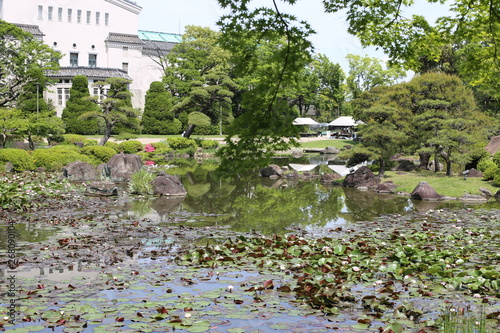 japon 