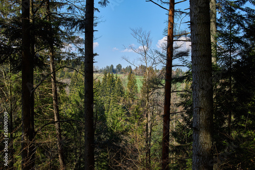 hiking in the river wutach canyon in the black forest in germany photo