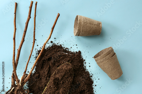 Tree seedling with pots and soil on color background