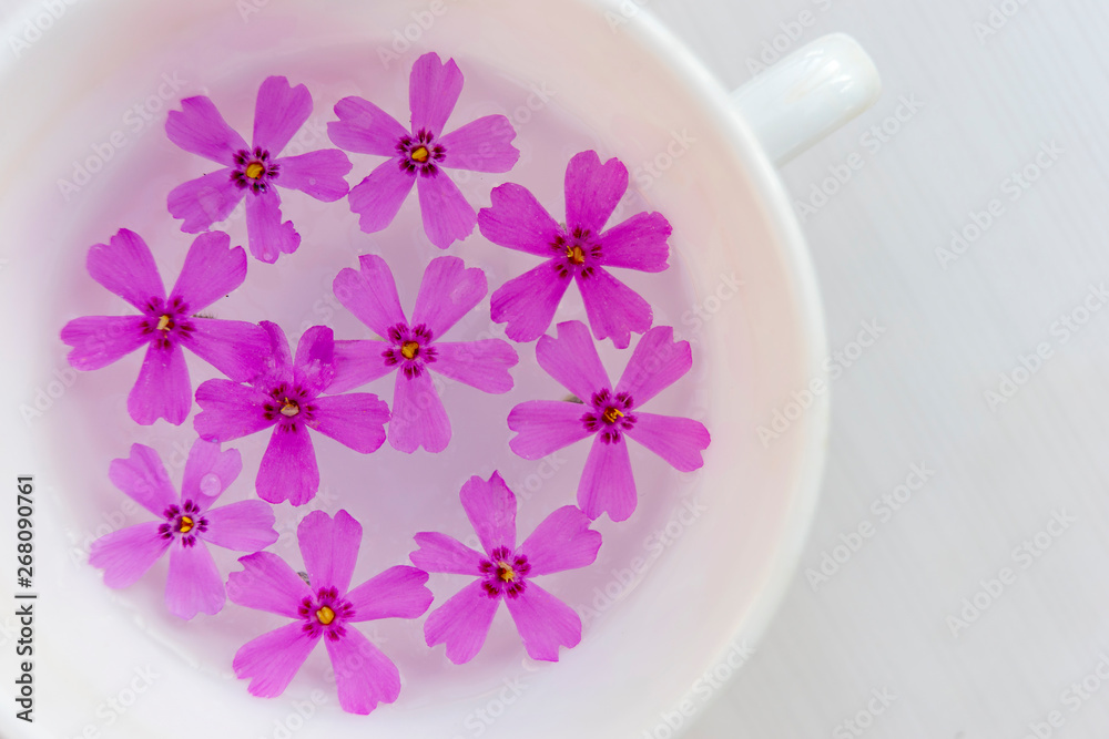 White cup of green tea with purple flowers on a white table. Top view. Close up.