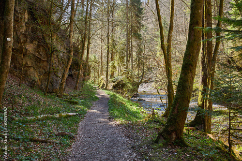 hiking in the river gauchach canyon in the black forest in germany © dghphoto