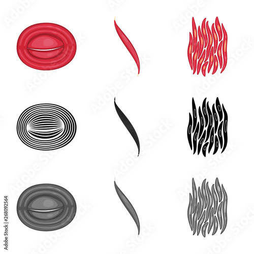 Vector illustration of fiber and muscular logo. Set of fiber and body  vector icon for stock.