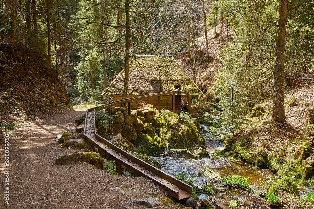 hiking in the river ravenna canyon in the black forest in germany hiking in the river ravenna canyon in the black forest in germany