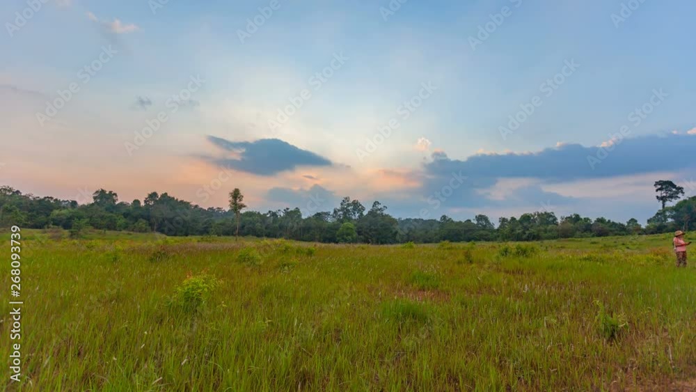 time lapse sunset at large field in Khao Yai national park. the grass field is a food field of deer and elephant in Khao Yai time lapse sunset at large field in Khao Yai national park. the grass field is a food field of deer and elephant in Khao Yai