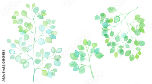 木漏れ日 枝葉の水彩イラスト Stock イラスト Adobe Stock 木漏れ日 枝葉の水彩イラスト Stock イラスト Adobe Stock