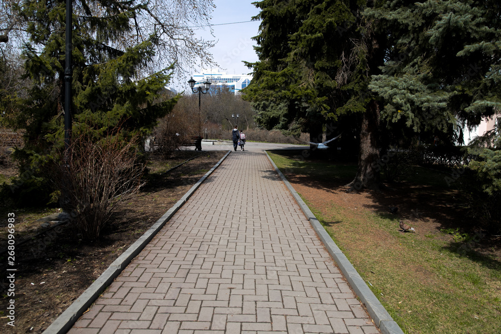 city park, spring square without people, green trees city park, spring square without people, green trees