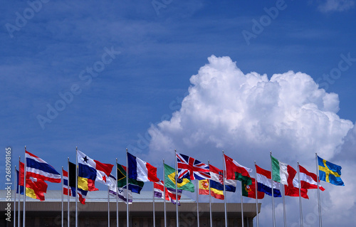 National flag blue sky background .