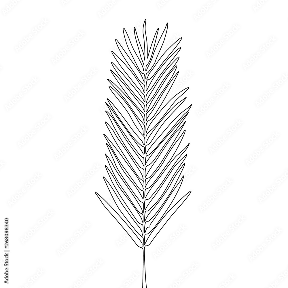 Continuous one line areca leaf, exotic tropical plant